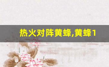 热火对阵黄蜂,黄蜂105比111不敌热火