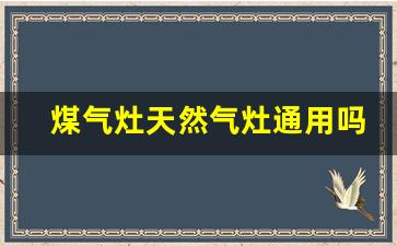 煤气灶天然气灶通用吗