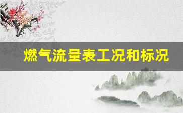 燃气流量表工况和标况