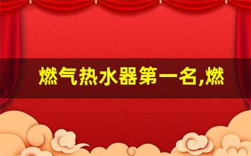 燃气热水器第一名,燃气热水器买13升还是16升