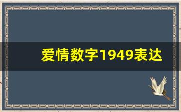 爱情数字1949表达了什么,2007爱情含义