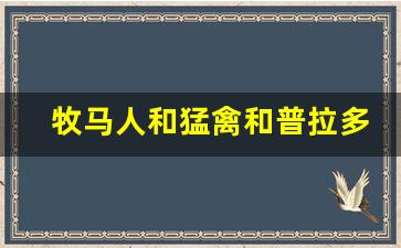 牧马人和猛禽和普拉多怎么选,霸道和牧马人哪个越野性能好