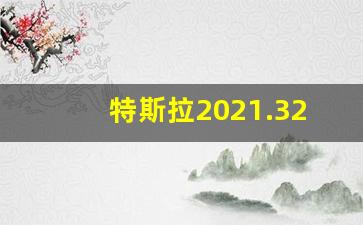 特斯拉2021.32.10,2021年什么年