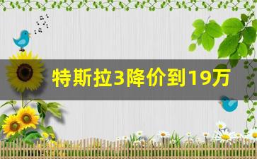 特斯拉3降价到19万,特斯拉19万的是什么车型