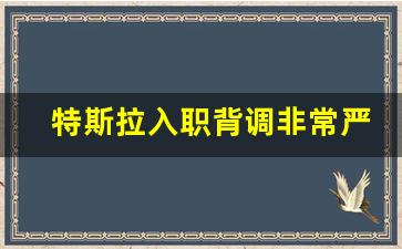 特斯拉入职背调非常严格