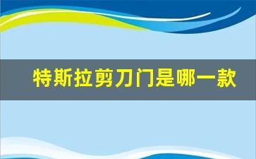 特斯拉剪刀门是哪一款多少钱,特斯拉飞翼门价格