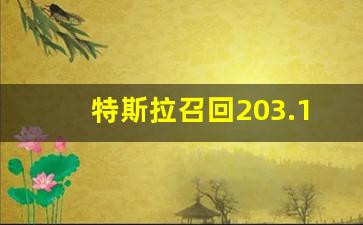 特斯拉召回203.12万辆车热,突发特斯拉大规模召回!