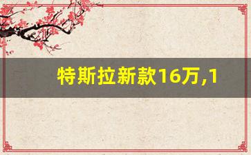 特斯拉新款16万,10万元左右的新能源汽车