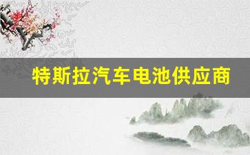 特斯拉汽车电池供应商,特斯拉电池供应商股票