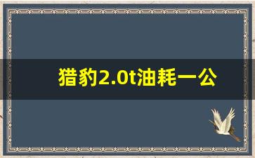 猎豹2.0t油耗一公里多少钱,2017款猎豹cs10图片