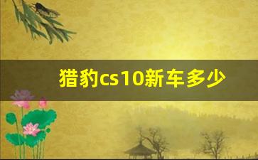 猎豹cs10新车多少钱,猎豹cs10油耗高的原因