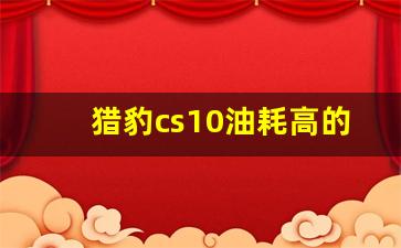 猎豹cs10油耗高的原因