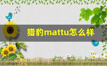 猎豹mattu怎么样,猎豹迈途二手车能买吗