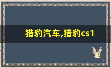 猎豹汽车,猎豹cs10评价及口碑