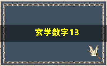 玄学数字13