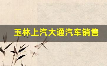 玉林上汽大通汽车销售地址,上汽大通g50怎么样