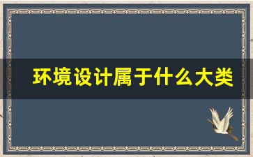 环境设计属于什么大类,环境设计毕业设计选题