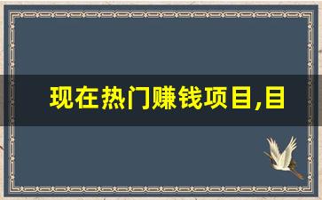 现在热门赚钱项目,目前火爆的小生意