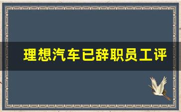 理想汽车已辞职员工评论,理想汽车待遇薪酬体系