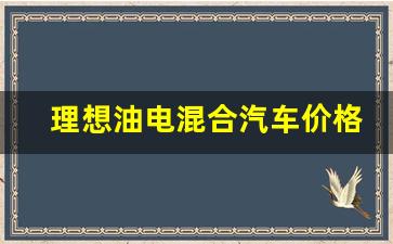 理想油电混合汽车价格,理想20万左右的车型