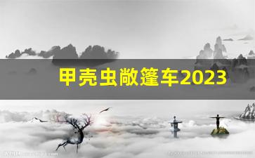 甲壳虫敞篷车2023款价格,大众甲壳虫新款女士版价格