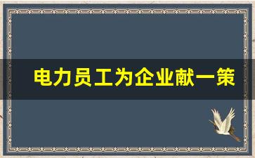 电力员工为企业献一策,电力职工的意见和建议