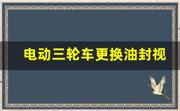 电动三轮车更换油封视频