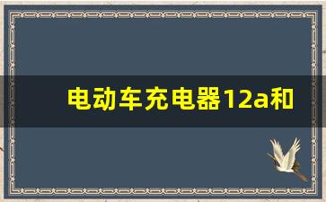 电动车充电器12a和20a通用吗,电动车充电器12安和20安可以通用吗