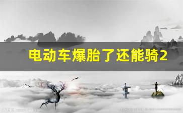 电动车爆胎了还能骑2公里吗,电动车爆胎和没气的区别