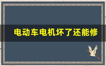 电动车电机坏了还能修吗,电动车电机漏气用什么可以补