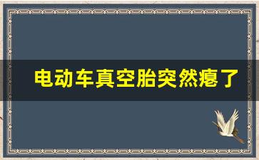 电动车真空胎突然瘪了,电动车充气泵