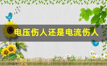 电压伤人还是电流伤人,交流电源和直流电源的区别