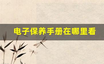 电子保养手册在哪里看,一汽大众官网保养查询