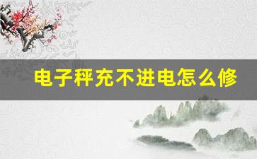 电子秤充不进电怎么修求视频,家用体重秤充不上电