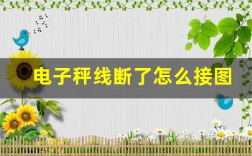 电子秤线断了怎么接图片,电子秤充不进电怎么修求视频