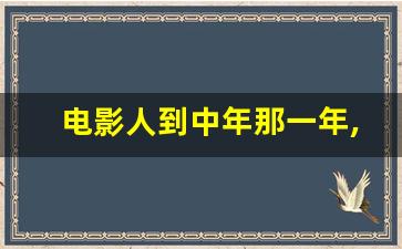 电影人到中年那一年,人到中年电影豆瓣