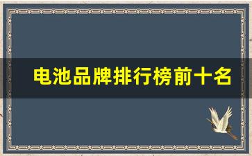 电池品牌排行榜前十名