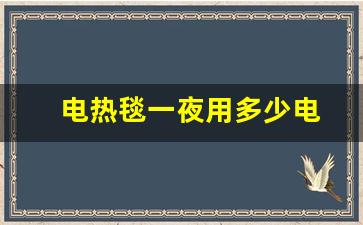 电热毯一夜用多少电