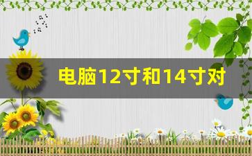 电脑12寸和14寸对比