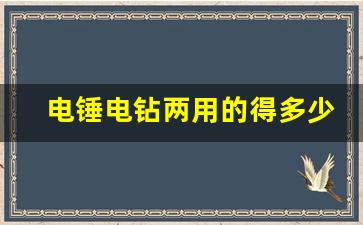 电锤电钻两用的得多少钱一个,电锤电钻两用