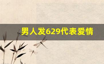 男人发629代表爱情什么意思,629什么意思爱情