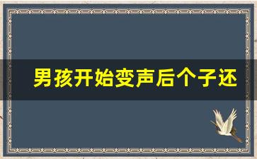 男孩开始变声后个子还能长几年,变声期三个阶段的表现