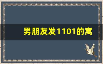 男朋友发1101的寓意,1101在不同进制中的区别