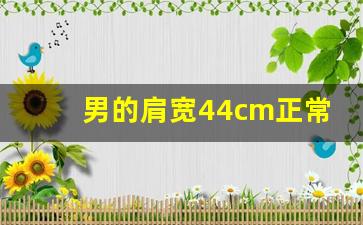 男的肩宽44cm正常吗,女生标准肩宽对照表