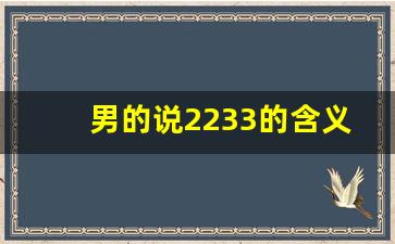 男的说2233的含义,2233爱情暗示什么意思