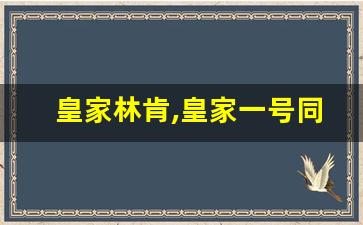 皇家林肯,皇家一号同级别车型