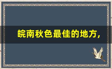 皖南秋色最佳的地方,黄山最美秋色在哪里