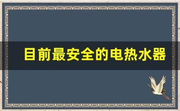 目前最安全的电热水器