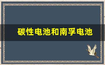 碳性电池和南孚电池