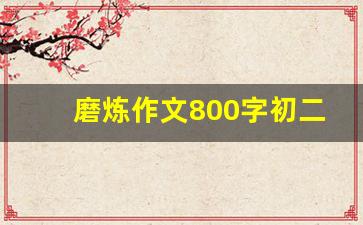 磨炼作文800字初二,磨炼铸就成功作文800字初中